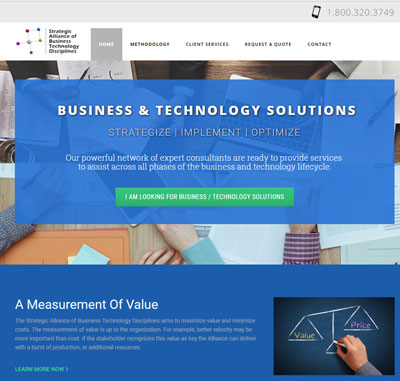 Strategic Alliance of Business Technology Disciplines